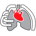 Sociedad Mexicana de Neumología y Cirugía de Tórax, A.C. (SMNyCT)